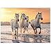 Chevaux Blancs De Camargue Galopant sur La Plage, France - Premium 500 Pièces Puzzle - Collection spéciale MyPuzzle de Puzzle Galaxy