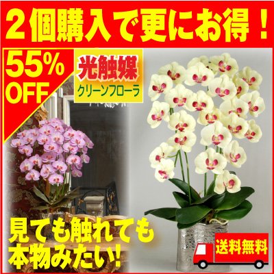 光触媒　人工観葉植物　ウォールグリーン　フェイクグリーン　胡蝶蘭ラベンダー5本立 光触媒 人工観葉植物 ウォールグリーン フェイク フラワー