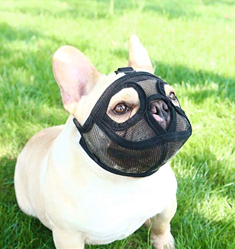 PETEMOO �Z���@�̌��A�u���h�b�O�̂��߂� ���b�V�����̌��ցA����ъ��ޙ𚐌P�����}�X�N�̂��߂̒Z���@�̕i��