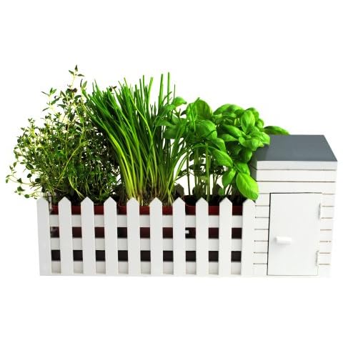 Oliphant Indoor Allotment Gift Set Herb Garden Cover