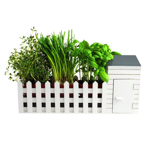 Oliphant Indoor Allotment Gift Set