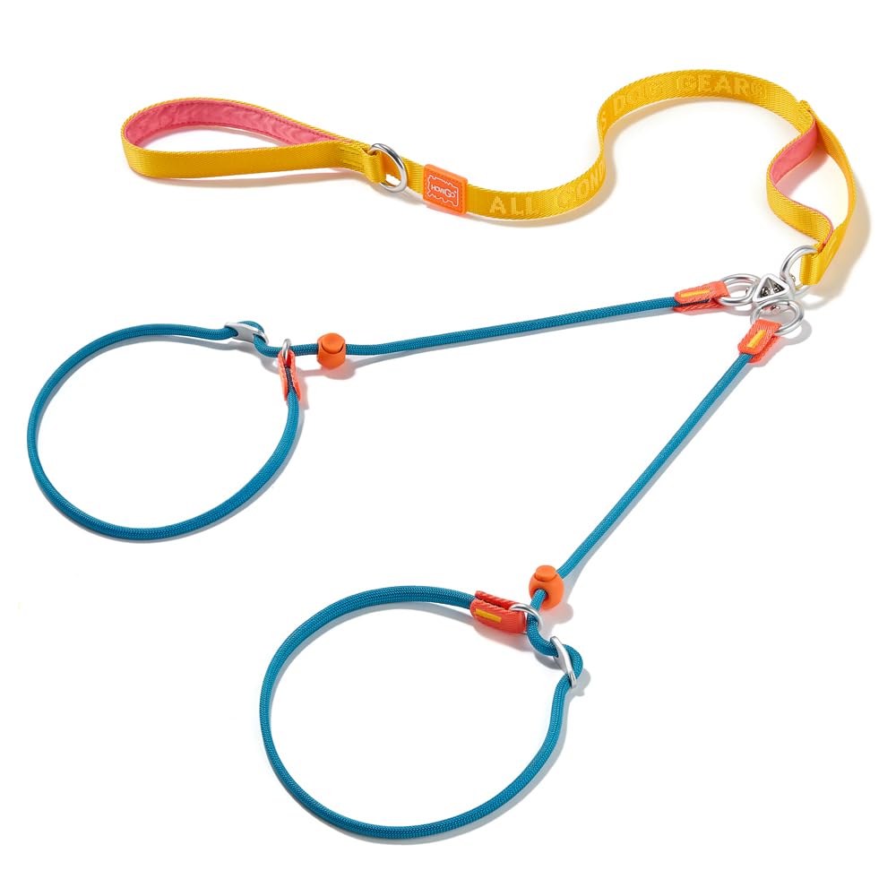 Howgo Double Slip Leash Slip Lead with Two Handles| Dual Dog Slip Lead for 2 Dogs,360° Swivel No Tangle | Dog Training Collar | Double Clip Leash Coupler and Splitter (Multicolor, 6FT)