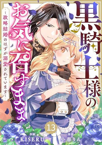 Berry’sFantasy黒騎士様のお気に召すまま~政略結婚のはずが溺愛されています~13巻 (Berry's COMICS)