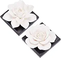 INFUNLY 2 peças de difusor de óleo essencial de rosa branca, mini difusores de aromaterapia de cerâmica, kit de ornamentos de ar de aroma de óleo essencial difusor de flores passivas para sala de