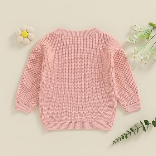 Toddler Infant Baby Girl Knit Sweater Big Sister Little Sister Matching Outfits Long Sleeve Pullover Sweatshirt4