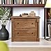 Sauder Palladia 2 Drawer File Cabinet, Lateral Filing Cabinets for Home Office, Hanging File Folders Organizer, Interlocking Drawers, in Vintage Oak Finish
