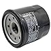 Cyleto Ölfilter für W650 1999-2005 Z750 2004–2006 Z1000 2003-2006 ZX1000 NINJA ZX-10R 1000 2004-2006 ZX6R NINJA 2006 ZZR600 2002-2006 19 x günstig Kaufen-Cyleto Ölfilter für W650 1999-2005 Z750 2004–2006 Z1000 2003-2006 ZX1000 NINJA ZX-10R 1000 2004-2006 ZX6R NINJA 2006 ZZR600 2002-2006
