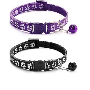 Dog Trust Pack of 2 pcs Collar paw Collar for Your Kitten Pupies Dog Size 10 MM Random Color