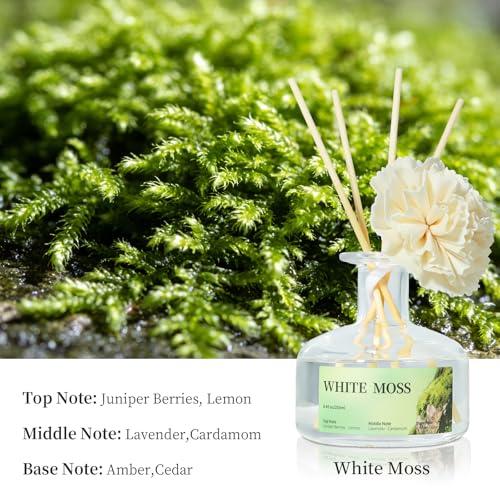 3 Pack Difusores con aroma White Moss 250ml miniatura 4