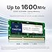 Timetec 8GB DDR3L-1600MHz PC3L-12800 / PC3-12800 (PC3L-12800S) Nicht-ECC ungepuffert 1,35 V/1,5 V CL11 2Rx8 Dual Rank 204 Pin SODIMM Laptop Notebook PC Computer Speicher RAM Modul Upgrade