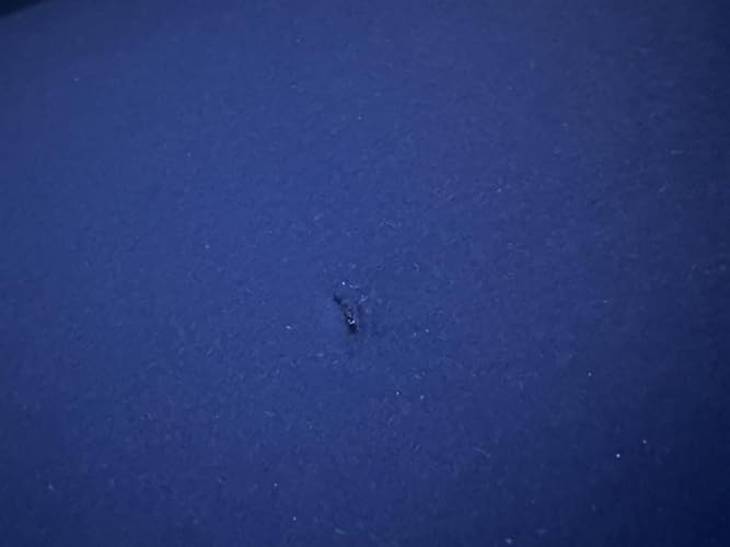 Review Image by TNK