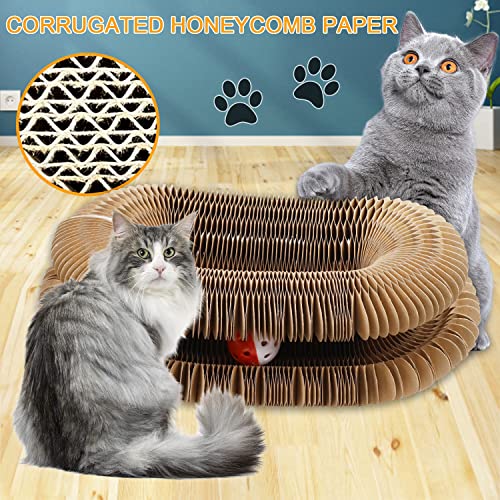 BIAO TX Cerchio Magico per Gatti, Magic Organ Cat