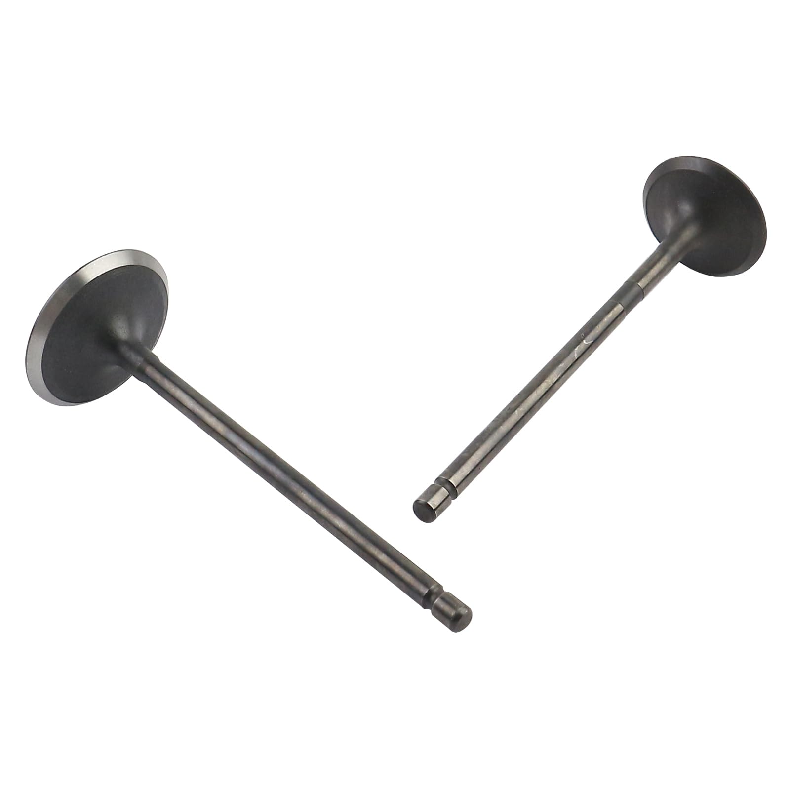 Amazon.com: Exhaust Valve and Intake Valve Kit Compatible with