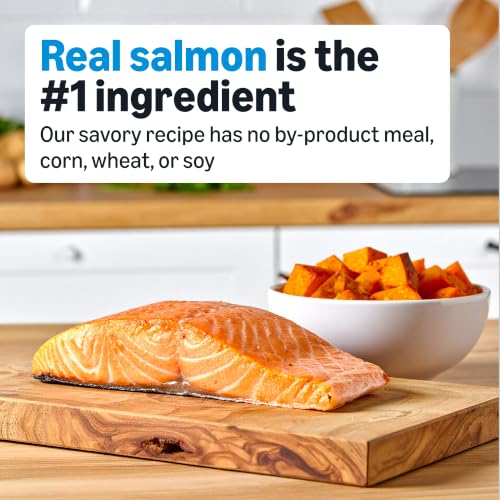 Basics Dry Dog Food Salmon & Sweet Potato, Grain Free 24 lb Bag (Previously Wag) - Image 3