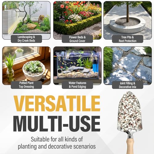 Image of 2.4lb Succulent and Cactus Gravel Pebbles, 1 /5 Inch Mixed Color Natural Rocks for Fish Tank, Indoor Plants, Aquarium, Vases, Landscaping