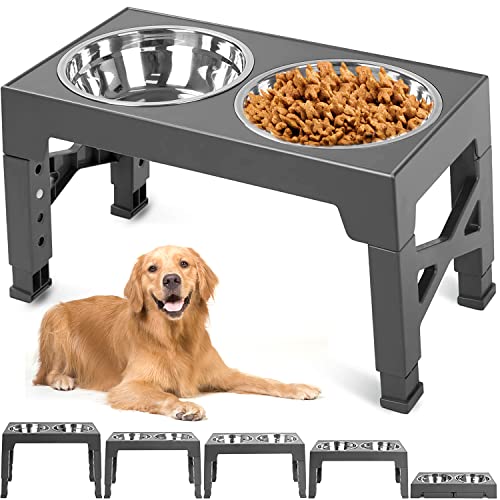 platos perros Marca MCSWKEY