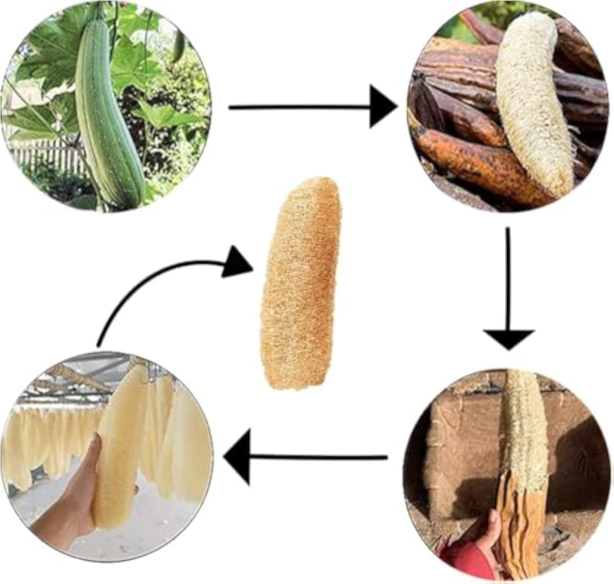 Natural Loofah Sponge Bath Scrubber, Pack of 3