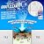 IT JUST Works! Grout-EEZ Super Heavy Duty Tile & Grout Cleaner and Whitener. Quickly Destroys Dirt & Grime. Safe for All Grout. Easy to Use. 2 Pack with Free Stand-Up Brush. The Floor Guys…