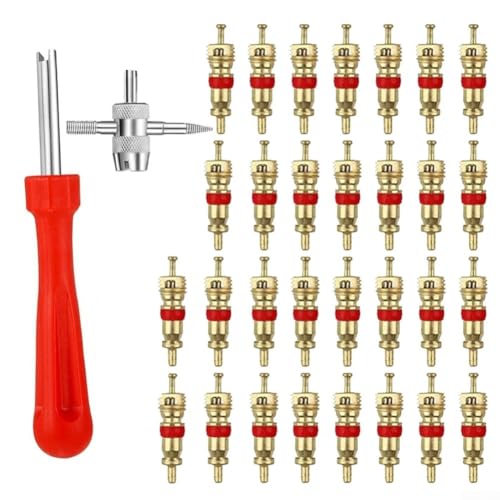 Aprilsunnyzone Outil de tournevis de valve de pneu avec poignée en plastique et tige en acier pour voitures, camions, motos et vélos, kit de retrait et d'installation de tige de valve rouge, 32 pièces