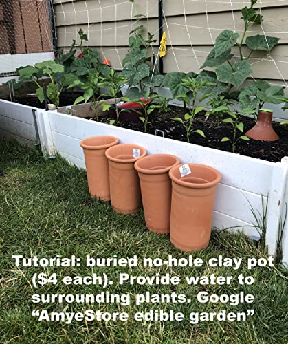 End Of Season Special! Roma Tomato Seeds For Planting,Tomato Vegetable Plants & Seeds. Non Gmo Garden Seeds Vegetable Seeds For Planting Home Garden-50Ct Roma Vf Tomato Plant Seeds #TOP5