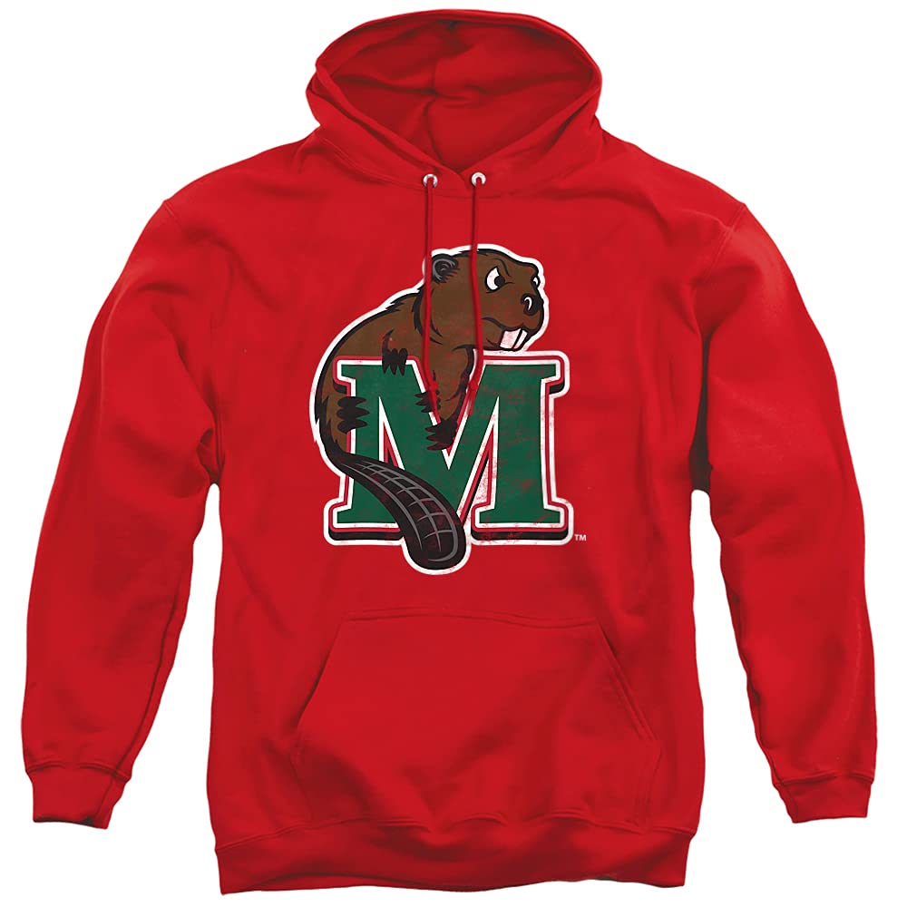 LOGOVISION Official Collegiate Distressed Primary Logo Adult Pullover Hoodie Collection — view 240
