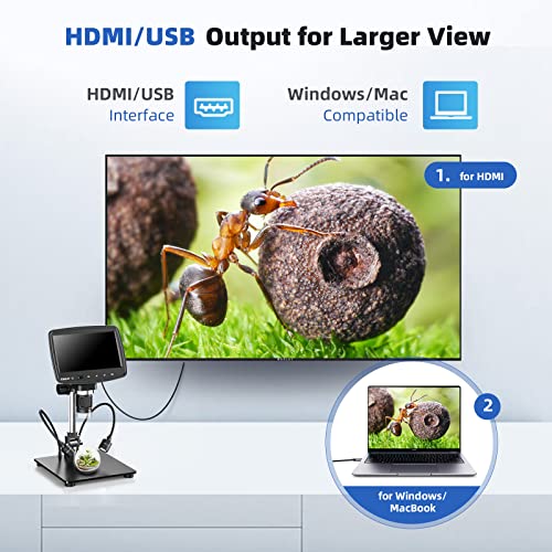 Tomlov Dm03 7" Hdmi Lcd Digital Microscope 1200X [Larger View & Larger Workspace] 1080P Hd Screen Coin Microscope For Adult/Kids Usb Soldering Microscope With Light Compatible With Tv/Windows/Macos #TOP1