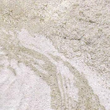 Amazon 海水魚 ばくとサンド 立上げ簡単サンド パウダー １リットル バクテリア付き ライブサンド 航空便不可 Charm チャーム 底床 通販