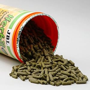 JBL Mangime Herbil a Forma di Pellet per Tartarughe di Terra [Etichetta in Italiano Non Garantita] - immagine 2