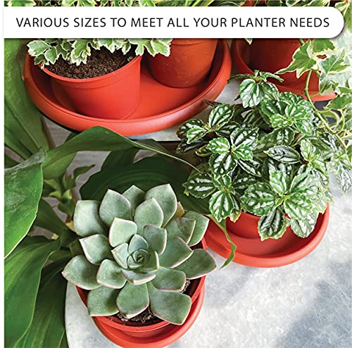 Loopseed Plant Saucer 6 Pack Drip Trays Planter Pot Base Heavy Duty Plastic Drainage Tray For Indoor Houseplants Outdoor Garden 5 Inch 8 Inch 11 Inch 3 Sizes 2 Each Round (Terracotta) #TOP4