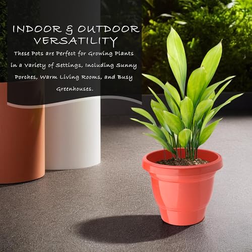 Image of Kuber Industries (Pack of 4) Flower Pot | 2-Layer Fuldani Flower Pot (8 Inch) Pots for Terrace, Garden | Phooldaan for Home D?cor | Synergy Indoor Plant Stand | Pots Stand for Plants | Red
