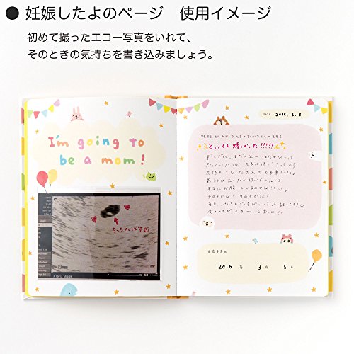 色褪せないエコー写真の保存方法 人気アルバム7選とお得な無料キャンペーン