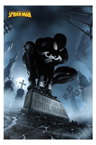 Affiche Spider-Man Grave grand poster mural geek 61x91,5 cm