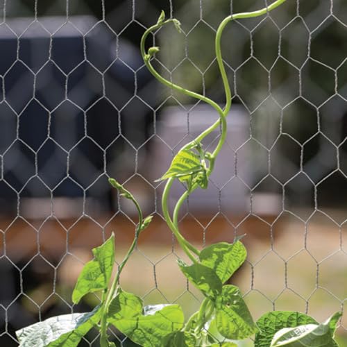 Image of YARDGARD 2 Inch Poultry Netting, Chicken Wire Fence, 20 Gauge Galvanized Steel, Rabbit Fencing, Bird Enclosures, Garden Protection and Plant Support, 24 Inches x 150 Feet