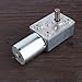 High Torque Turbo Geared MotorDC 12V Motor 2/3/5/6/10/20/30/40/62/100RPM (100 RPM)