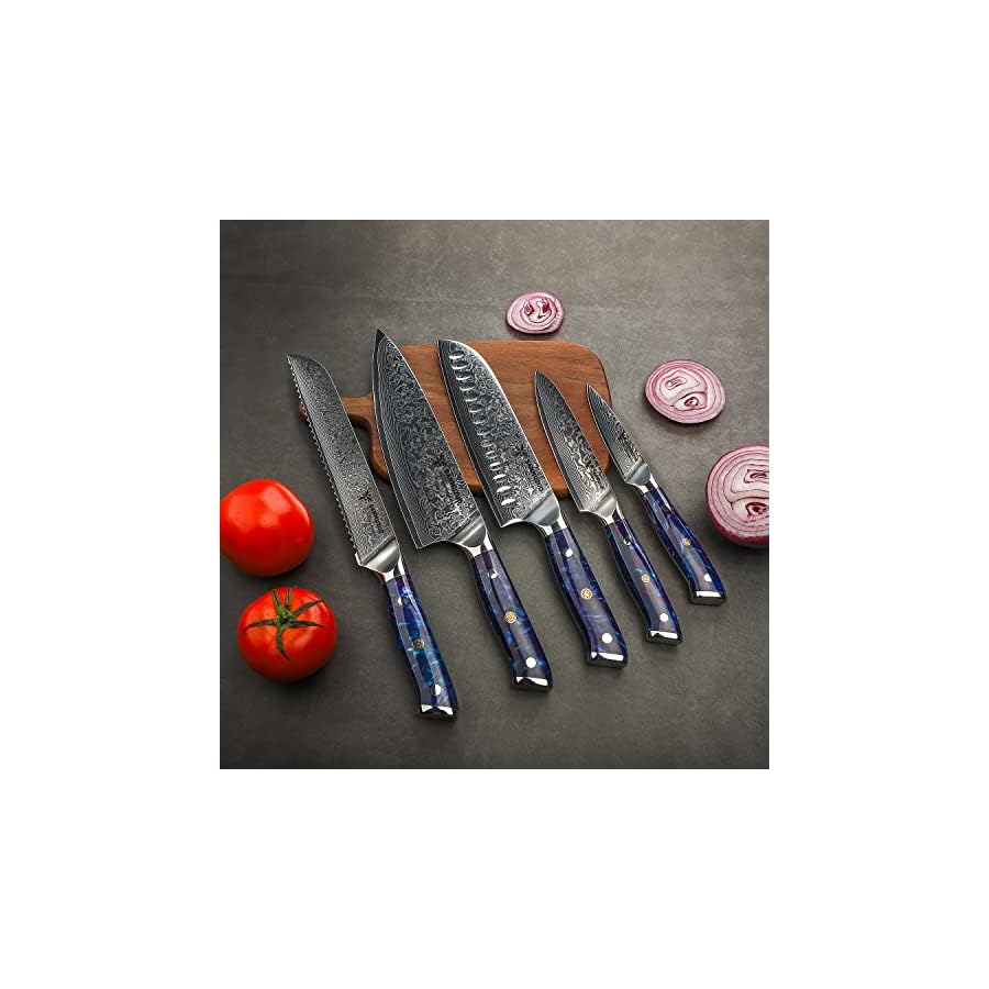 Chef Cooking Knives Set- Kitchen Knife Set of 5 Piece - Ultra-Sharp VG10 Damascus Steel & Resin Handle - Xuan Series (Sapphire Blue)