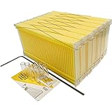  DYJD Kit de la casa de la Colmena de Abejas de Madera Colmena con Marco de Flujo automático Completa Colmenas de Miel Conjunto para apicultores Kit de Inicio para Principiantes,7pcs Bee Nest