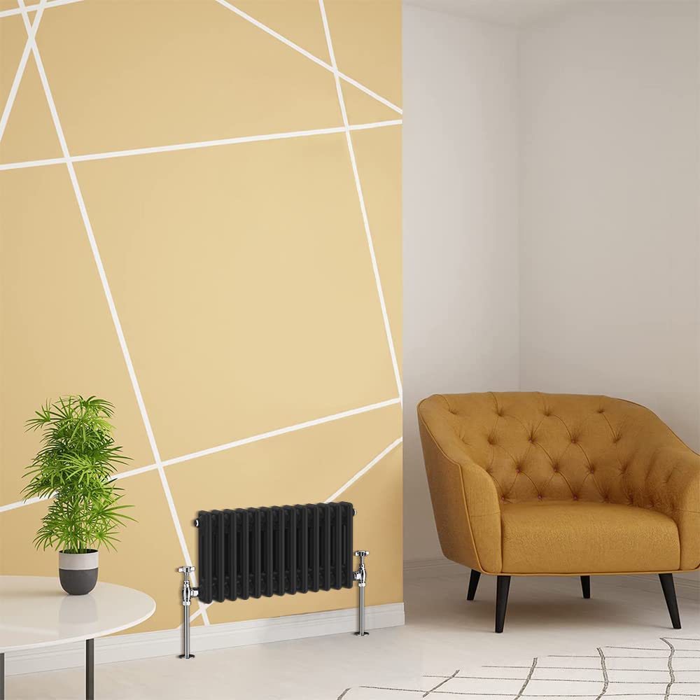 Warmehaus Traditional Radiator 2 Column Black Horizontal 300x605mm
