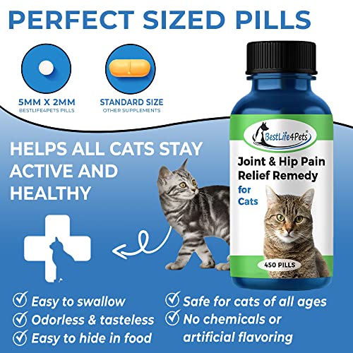 BestLife4Pets Cat Hip and Joint Supplement Relief from Pain