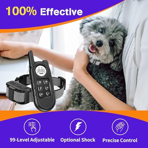 Pros and Cons of Anti Bark Collar