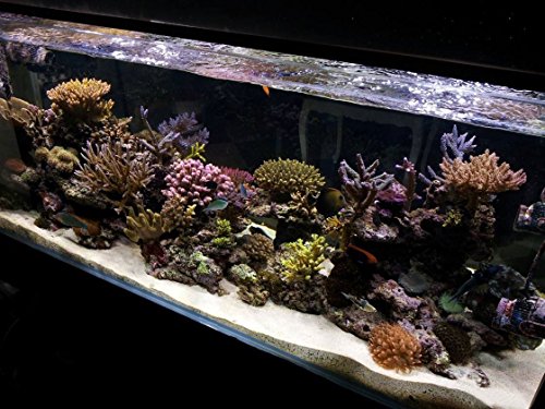 KZKR-Aquarium-LED-Fish-Tank-Light-16-84-inch-Remote-Control-Hood-Lamp-for-Freshwater-Saltwater-Marine-Full-Spectrum-Blue-and-White-Decorations-Light