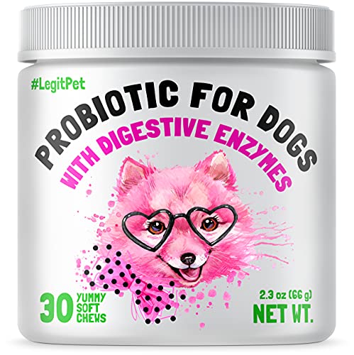 Probiotics for Dogs Natural Digestive Enzymes Prebiotics for Allergy Itch Relief Gut Flora Coprophagia Bowel Support Treatment Anti Diarrhea for Dogs Pet Health Immune System Support 30 Soft Chews Probiotics for Dogs Natural Digestive Enzymes Prebiotics for Allergy Itch Relief Gut Flora Coprophagia Bowel Support Treatment Anti Diarrhea for Dogs Pet Health Immune System Support 30 Soft Chews