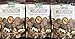 The Snak Yard Shiitake Mushroom 7.5 Oz Crispy Crunchy & Seasoned (Three Pack)