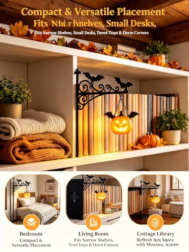 ChayWillow Library Lantern Bookshelf Lamp Jack-o-Lantern Hanging Light - image 4