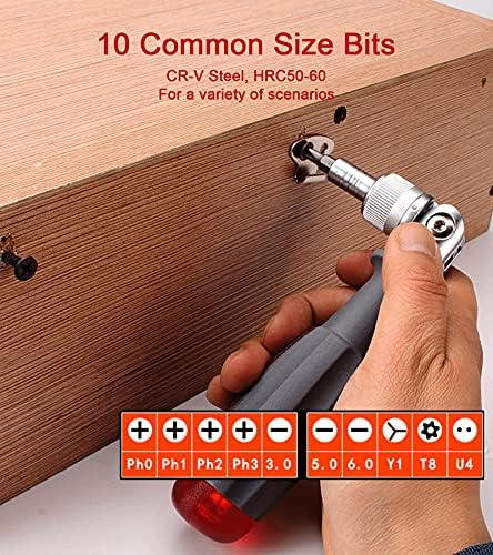 Deselen Ratchet Screwdriver with Magnetic 10 Bits, 10 in 1 Mini Screwdriver Set Pocket Design, Multi Tool Bit Holder in a Grip, Tool Kits for Home, Red, 1 Pack