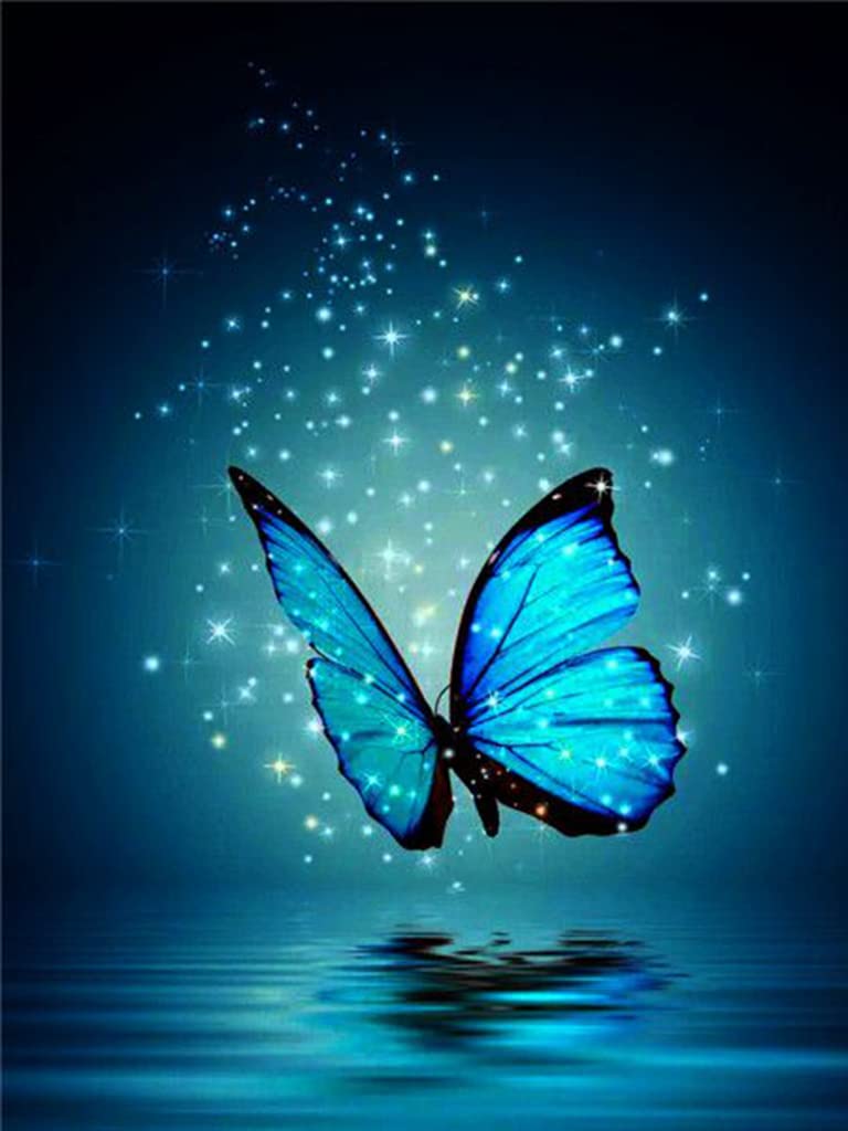 Amazon | LovetheFamily 夜空の水面の蝶 数字油絵 数字キット塗り絵 手