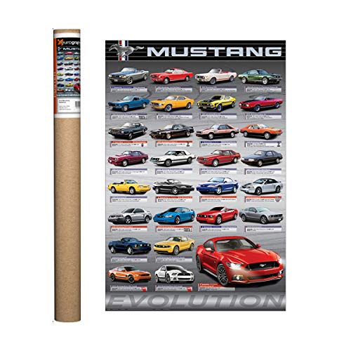 Poster Eurographics en papier de 91,4 x 61 cm pour décoration murale