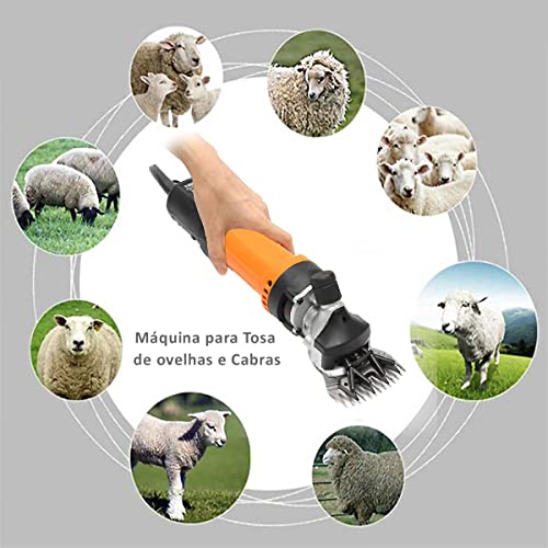 Tosquiadeira para Tosar Ovelha, Ovino, Bovino, Equino 690W (110)