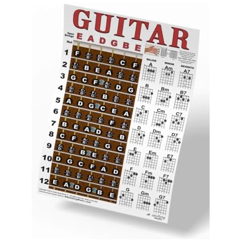 A New Song Music Guitar Chord & Fretboard Note Chart Instructional Easy 11"x17" Poster for Beginners Chords & Notes Cover