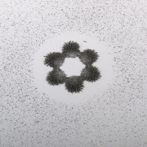 Eisenpulver (magnets4you) - 1000g | Eisenspäne für magnetische Experimente, sichtbare Magentfeldkennlinien | Magnetismus erklären für z.B. Schule/Unterricht/Physik