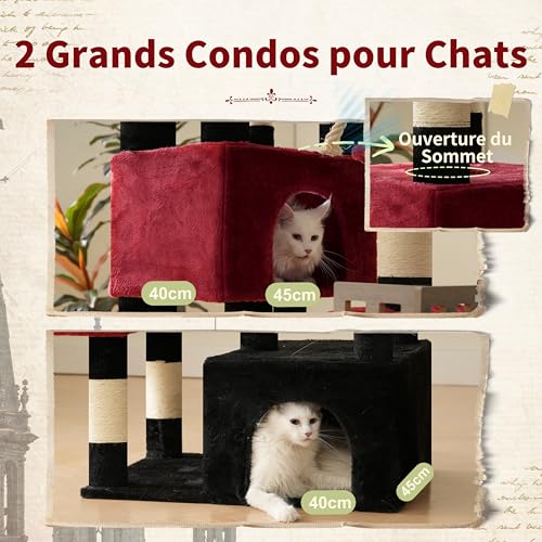 Arbre à chat pour grands chats Gitelsnour GCT033BR stable avec double niche - 5